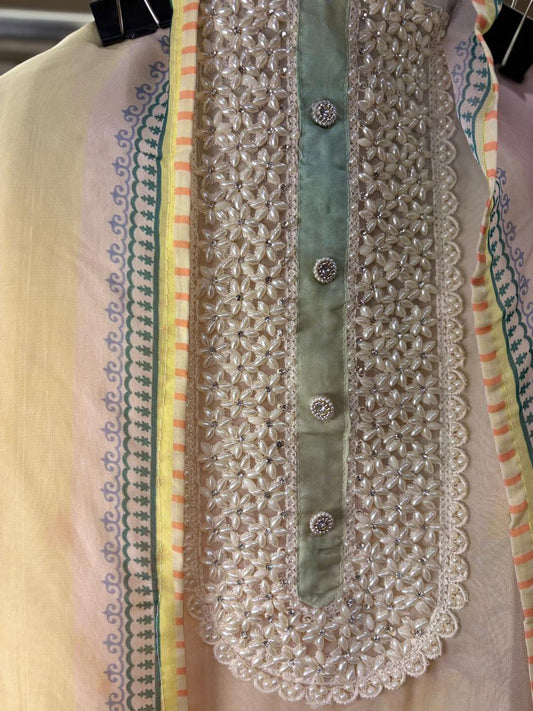 Soft organza suit set with work all over the shirt &  neckline with stones