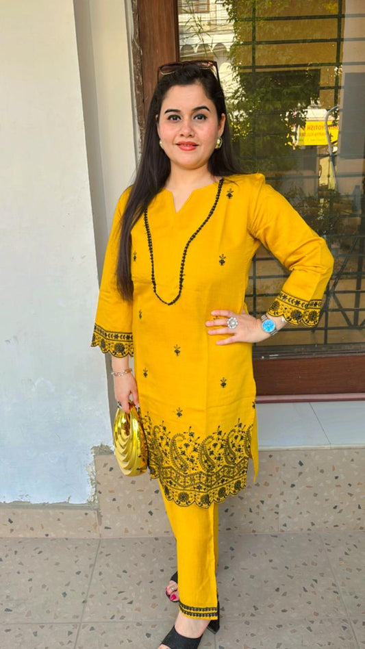 Elegant Co-ord set with all Resham cut work on sleeves & hem