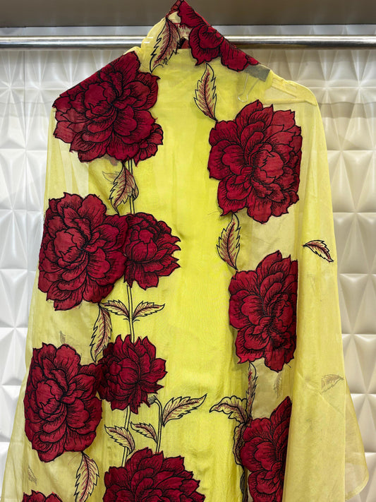 Elegant Organza Party Wear Suit Set