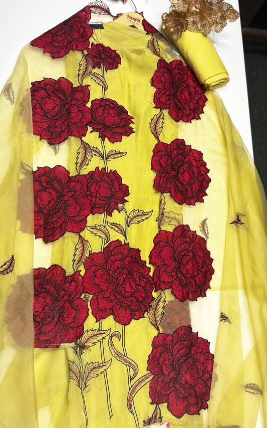 Elegant Organza Party Wear Suit Set